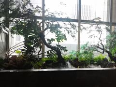 -海立阁海鲜江浙菜(漕河泾印象城店)