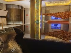 -艺水间水汇