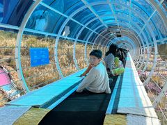 -盈香心动乐园