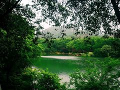 -白马涧龙池景区