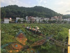 -红山村