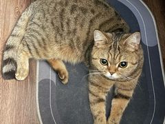 -美联众合动物医院·24h转诊中心