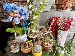 -FEI FEI FLOWER鲜花店·气球派对·宝宝宴布置(虹口德必运动Loft店)