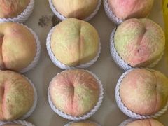 -老袁家蜜桃农场·阳山水蜜桃