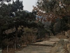 -北京鹫峰国家森林公园