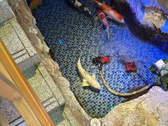 -沐熙汤泉(新安里店)
