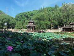 -忠山公园