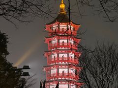 -绳金塔