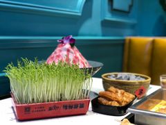 -五星桥原切肥牛火锅(怀德桥店)