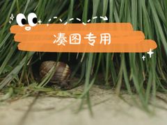 -云南大锅豆浆店