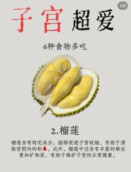 -Fundi张玉珊修身堂·indiba·BTL科技瘦身