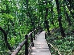 -北京上方山国家森林公园