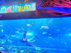 -白鹿仓冰雪海洋世界