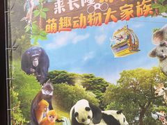 -广州长隆野生动物世界