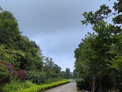-叱石风景区