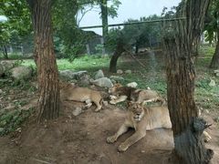 -西安秦岭野生动物园