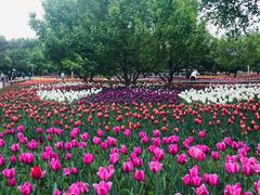 -长春公园(普阳街道)