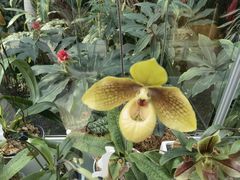 -北京植物园-展览温室