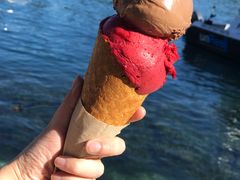 -Patagonia Chocolates(皇后镇店)