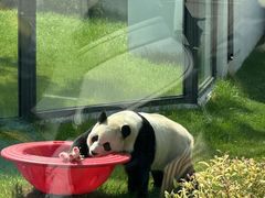 -无锡动物园·太湖欢乐园
