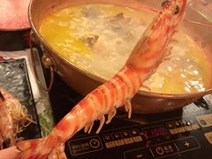 -鲜入围煮花胶鸡海鲜火锅