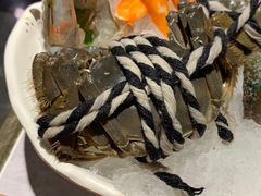 -一绪に寿喜烧自助(世茂广场店)