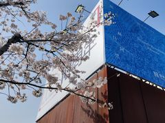 -龙美术馆(西岸馆)