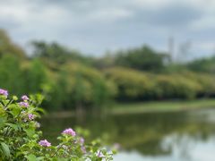 -中国科学院华南植物园