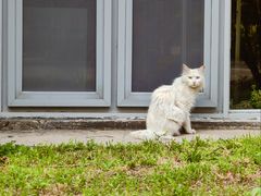 -炎黄艺术馆