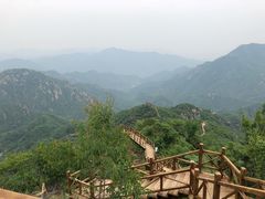 -大岭沟猕猴桃谷风景区