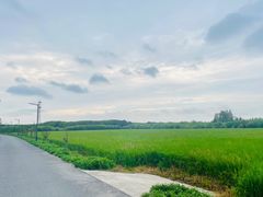 -嘉北郊野公园