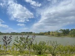 -东郊湿地公园