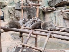 -杭州野生动物世界