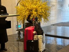 -长沙尼依格罗酒店
