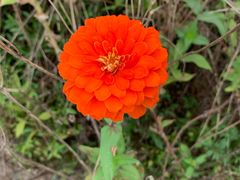 -白塘生态植物园