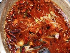 -蜀都丰 川菜·水煮活鱼(万象九宜城店)