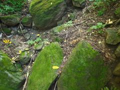 -大岭沟猕猴桃谷风景区