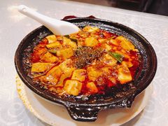 -陈麻婆豆腐总店