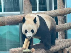 -大连森林动物园