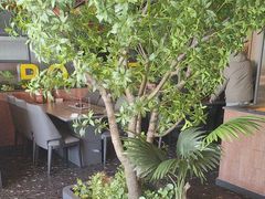 -鼎原力量东北吊炉烧烤(临河街店)