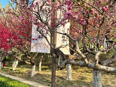 -元大都城垣遗址公园