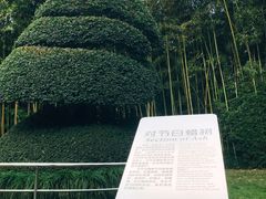 -苏州河梦清园环保主题公园