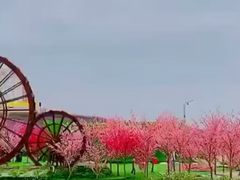 -光明小镇欢乐田园