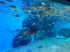 -泉城欧乐堡海洋极地世界