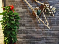 -菩提树·素食餐厅(汇智国际商业中心店)