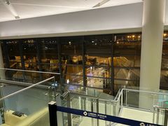 -虹桥机场国航贵宾室v8