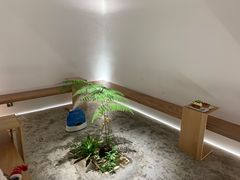 -光作面包Voila Lumiere(中山店)