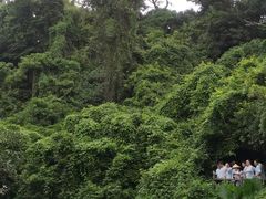 -海口火山口国家地质公园