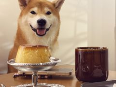 -2326 Coffee Roaster咖啡豆可选店(林肯公园店)