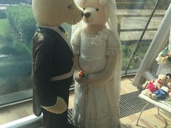 -济州岛泰迪熊博物馆